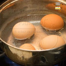 ¿Por qué a veces la yema del huevo duro se ve verde?          Sucede por cocinar el huevo excesivamente.