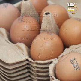 ¿Qué diferencia hay entre el huevo campero y el normal?           El huevo campero proviene de gallinas que son criadas en libertad.