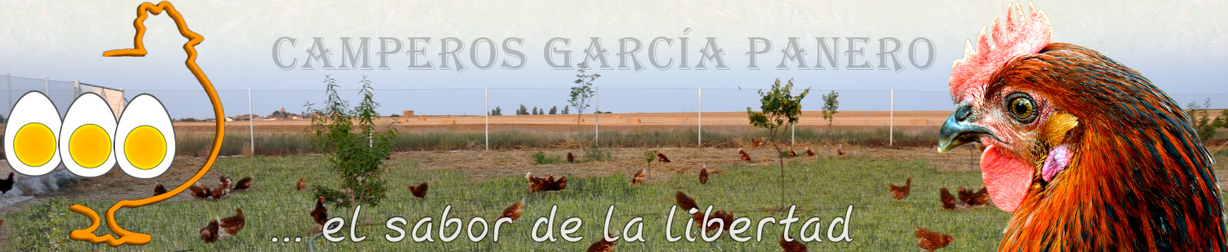 Huevos Camperos García Panero. Huevos de gallinas que viven en libertad. Sabor auténtico. Sabor a vida sana y natural. Salamanca.